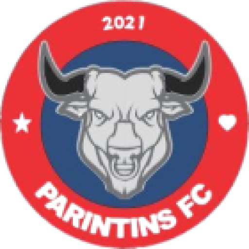 RPE Parintins F.C.